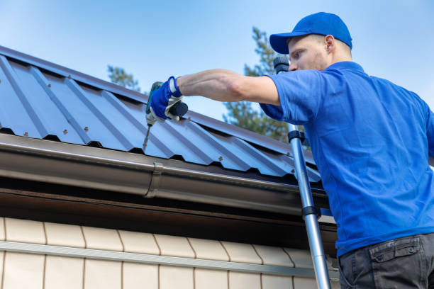 Roof Moss and Algae Removal in Pantops, VA